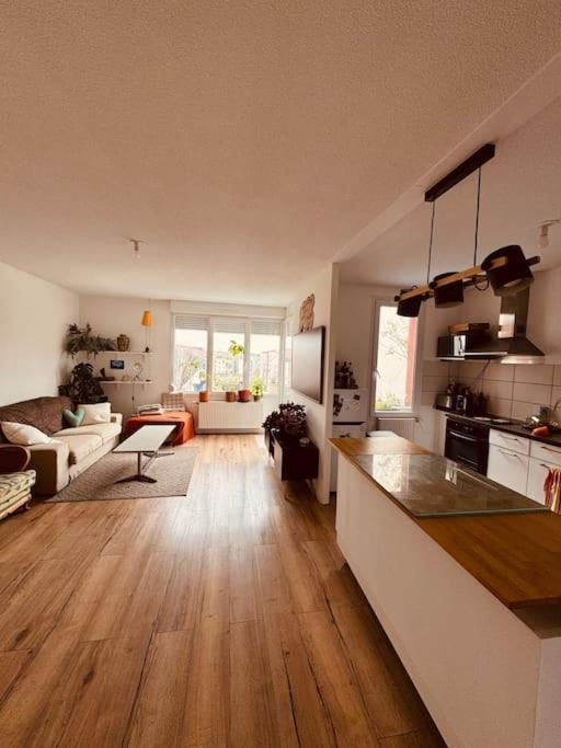 Bel Appartement Proche Mulhouse Pfastatt Exteriör bild